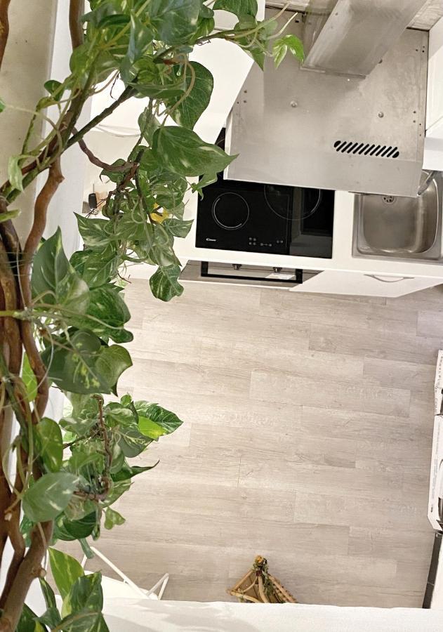 Apartament Omarea - Imperia Zewnętrze zdjęcie